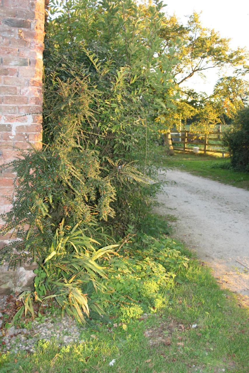 Greenway Farm Bed & Breakfast Bridgwater Dış mekan fotoğraf