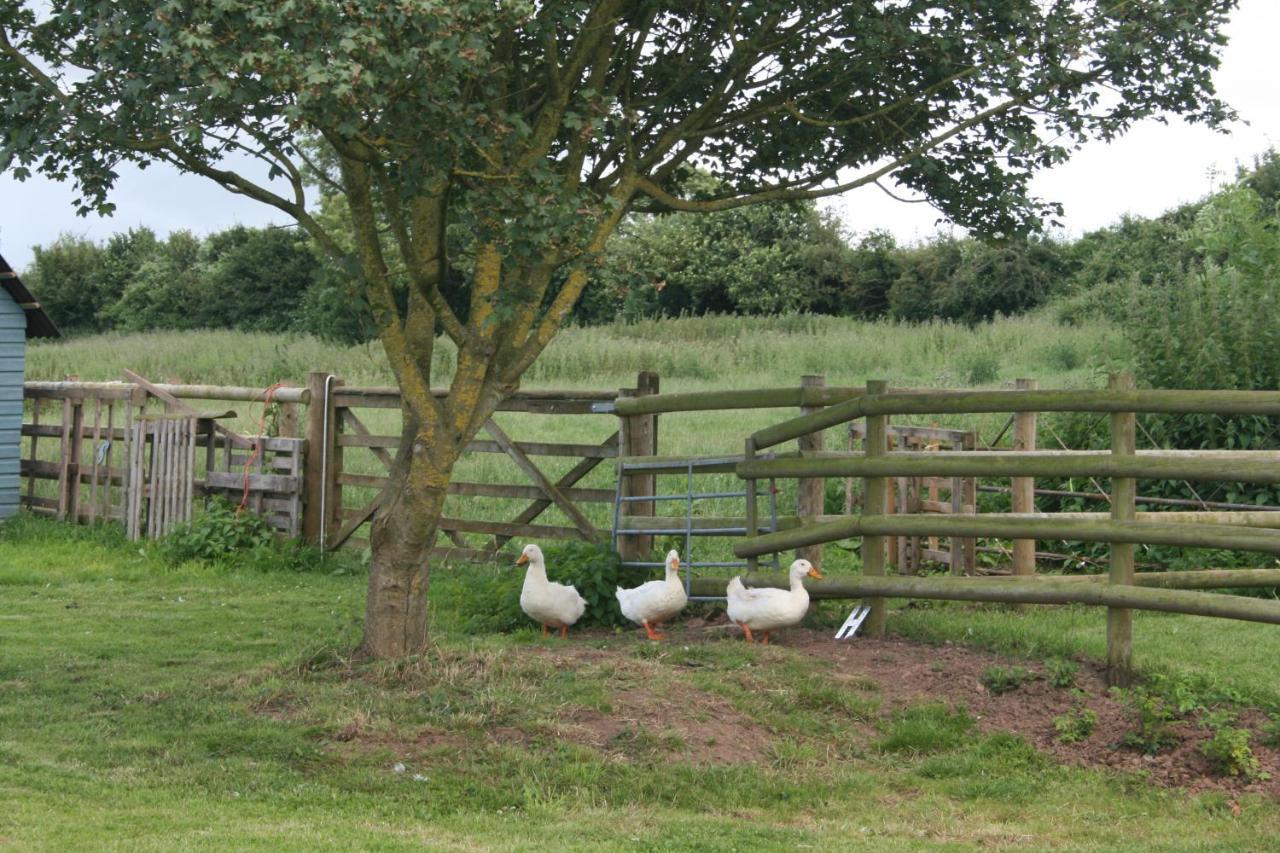 Greenway Farm Bed & Breakfast Bridgwater Dış mekan fotoğraf